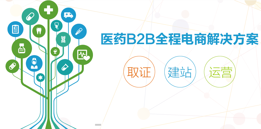 醫(yī)藥醫(yī)療網(wǎng)站建設(shè)策劃方案運(yùn)行書(shū)