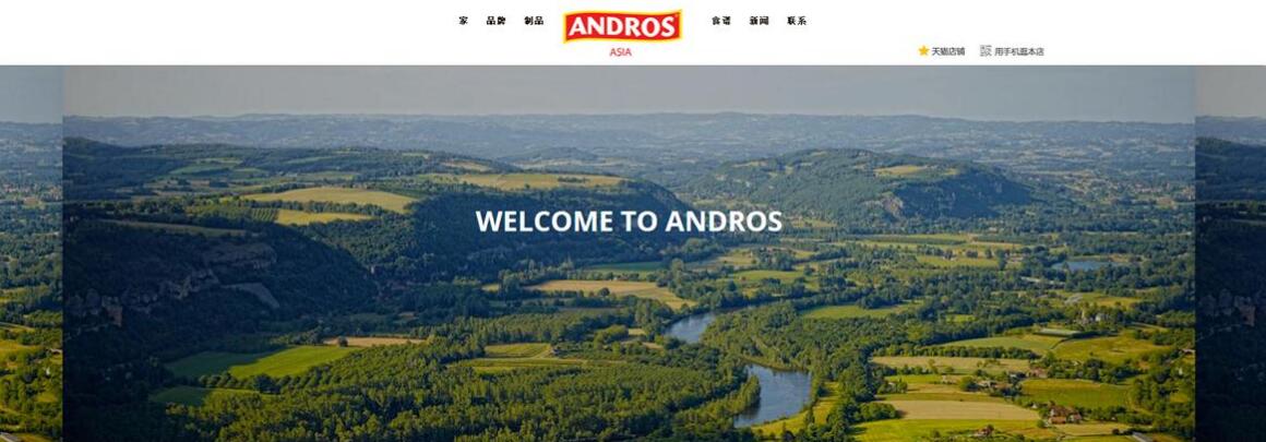 北京八里橋網(wǎng)站建設(shè)公司