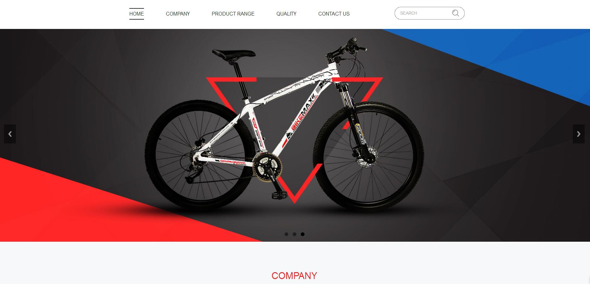 雙井網(wǎng)站建設(shè)公司案例