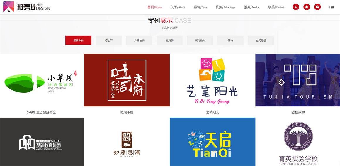 北京東直門(mén)網(wǎng)站制作公司案例